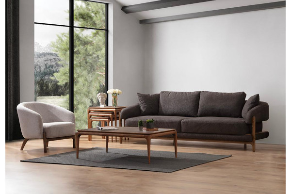 Acara Koltuk Takımı