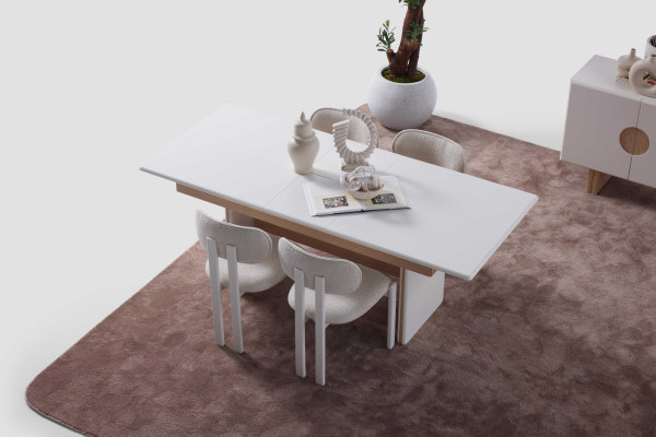 Lisa Dinner Table